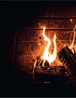 Smokey Goodness - Burgers & BBQ Bites -Keuken Grill Winkel schermafbeelding 2021 03 24 om 13.25.05