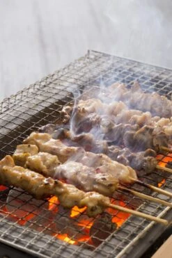 Oldenhof Konro Grill Diatomite Japanse Barbecue B-11 77 X 23 X 20 Cm -Keuken Grill Winkel shutterstock 556753543